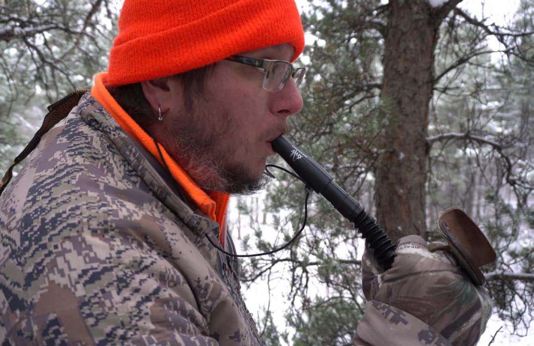 Whitetail Deer Calling Tactics To Draw In A Buck North American Bow
