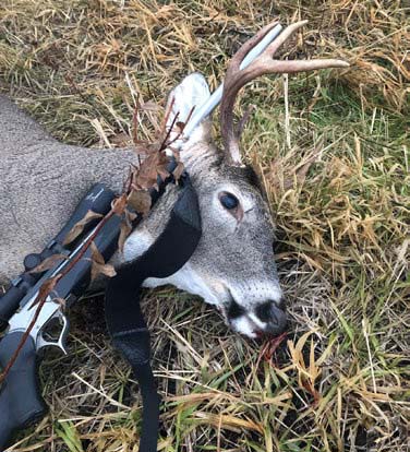 5 essential tips and strategies for hunting Canada's giant prairie  whitetails • Outdoor Canada