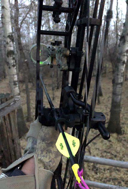 bow-hunting