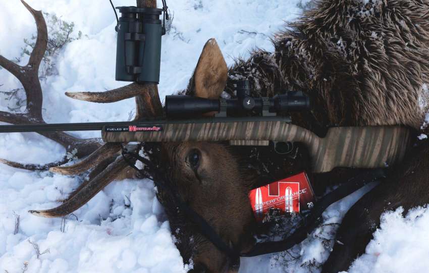 deer-hunting