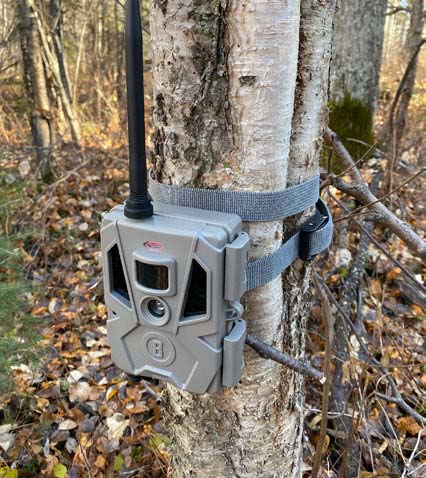 trail-camera