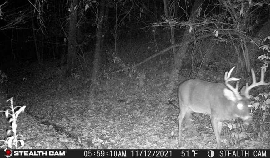 10 Tips For Creating A Great Deer Hunting Property North American Bow Hunter