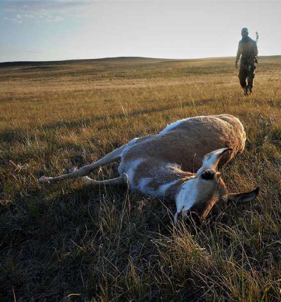 Pronghorn Antelope Hunting DIY North American Bow Hunter