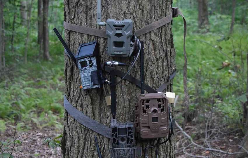 cellular-trail-cameras