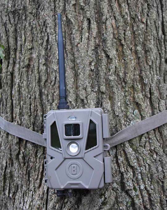 the best cellular trail camera 2022