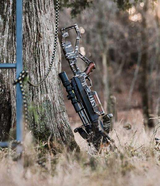 Crossbow or Compound Bow Which is Right for You? North American Bow