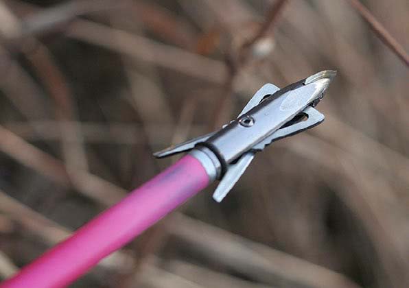 broadhead