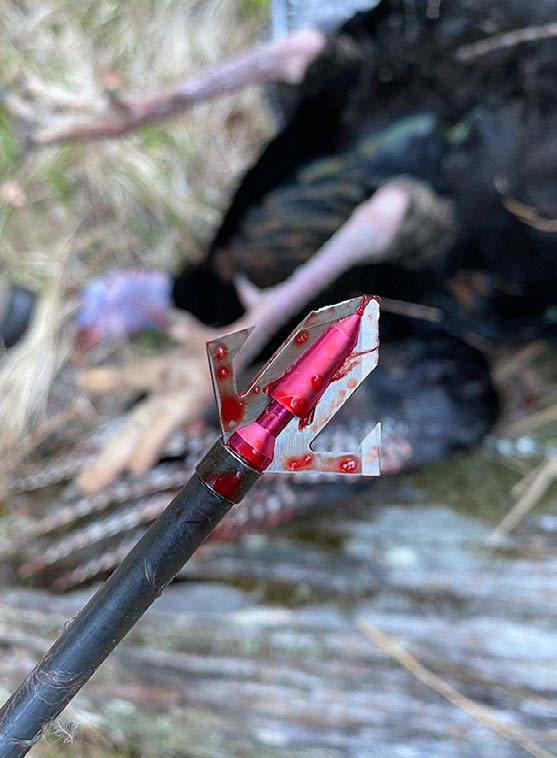 broadhead