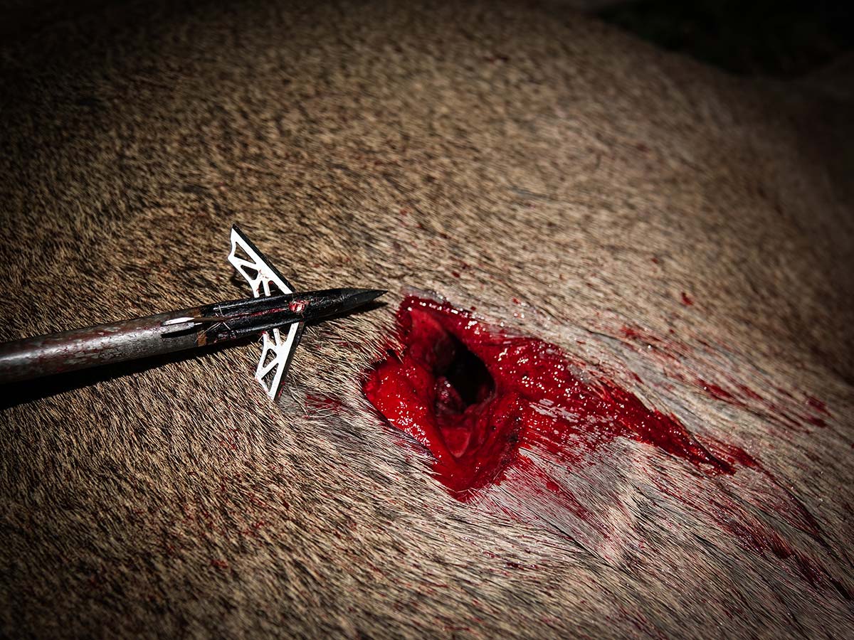 broadhead