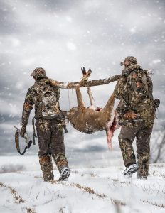 carrying animal on pole