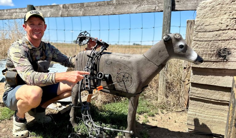 Best Bow Sights on the market today, tested and reviewed