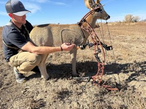 120 - North American Bow Hunter Hoyt Alpha AX-3 33 first shot