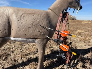 Accurate - North American Bow Hunter The Hoyt Alpha AX-3 33 may be Hoyt's best-ever aluminum-riser bow.