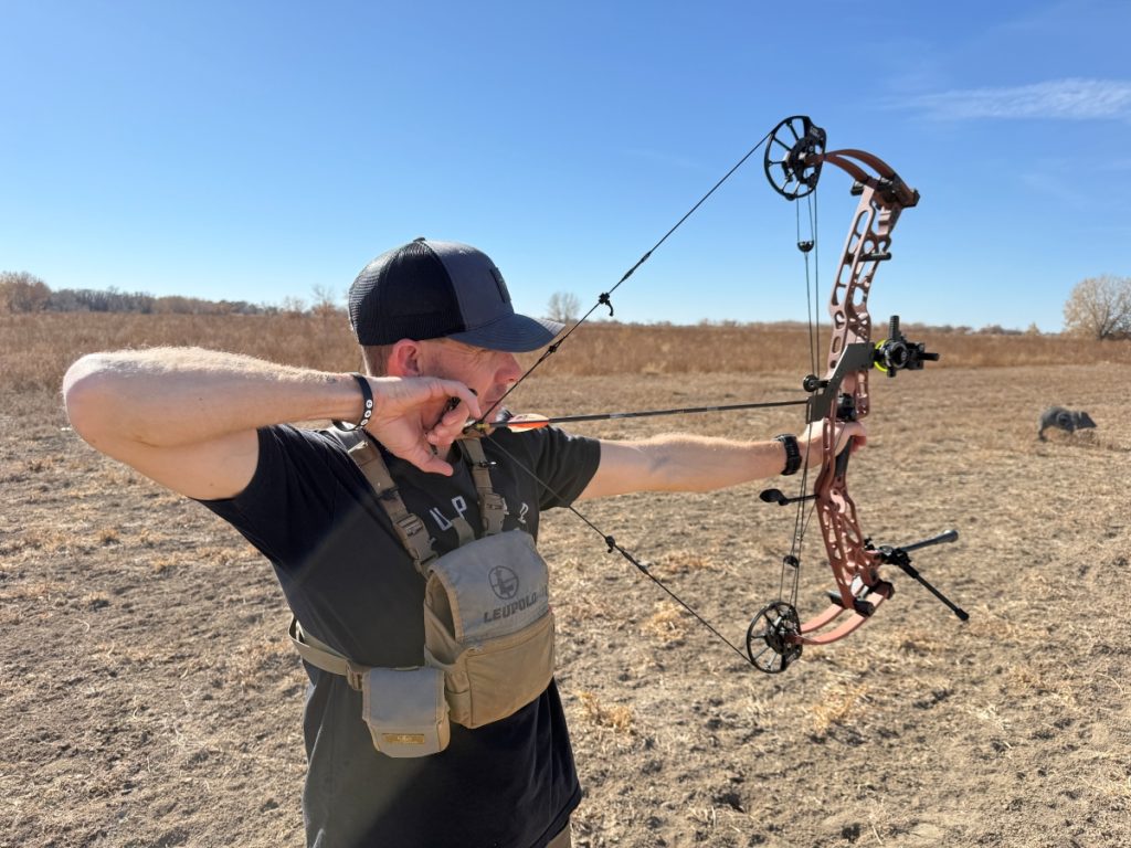Hoyt Alpha AX-3 33 is a dream to shoot