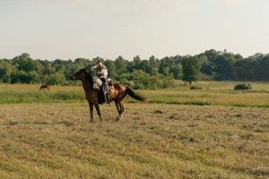 Person on horseback in a grassy field during daytime, holding a lasso above their head.