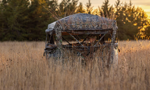 blind33 - North American Bow Hunter Camouflage hunting blind in a tall grass field at sunset, backlit by warm light with trees in the background.